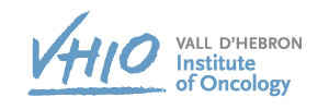 Logo_12_VHIO_small